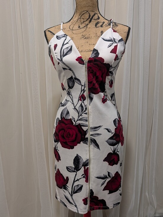 Haute Monde Dresses & Skirts - Red Rose Print Dress